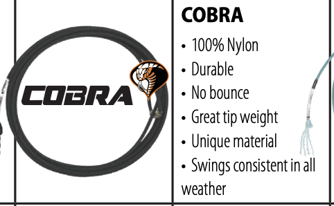 fastback cobra